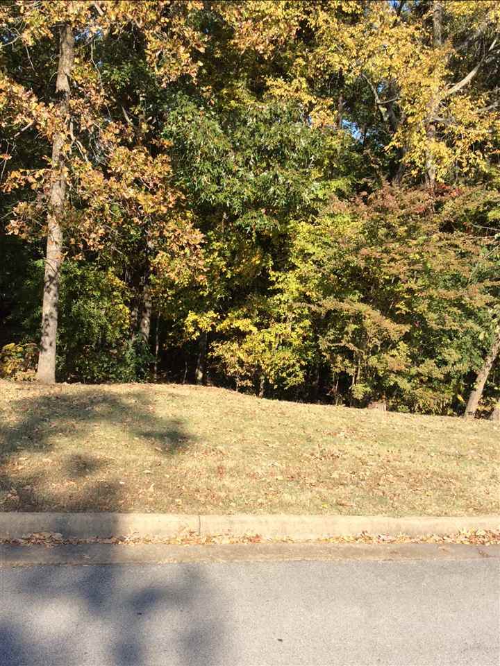 900 Rolling Forest Drive - Photo 1