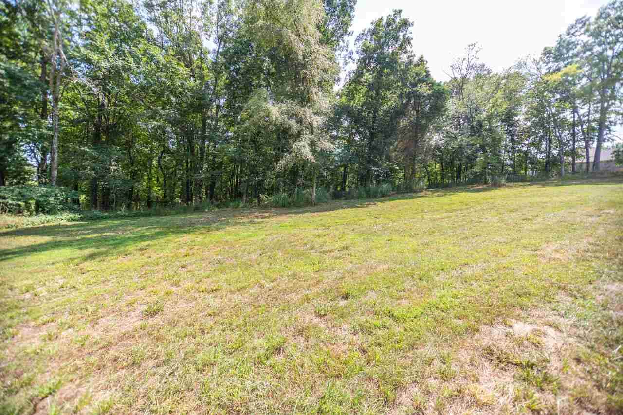 Lot 2 Chocho Valley - Photo 1