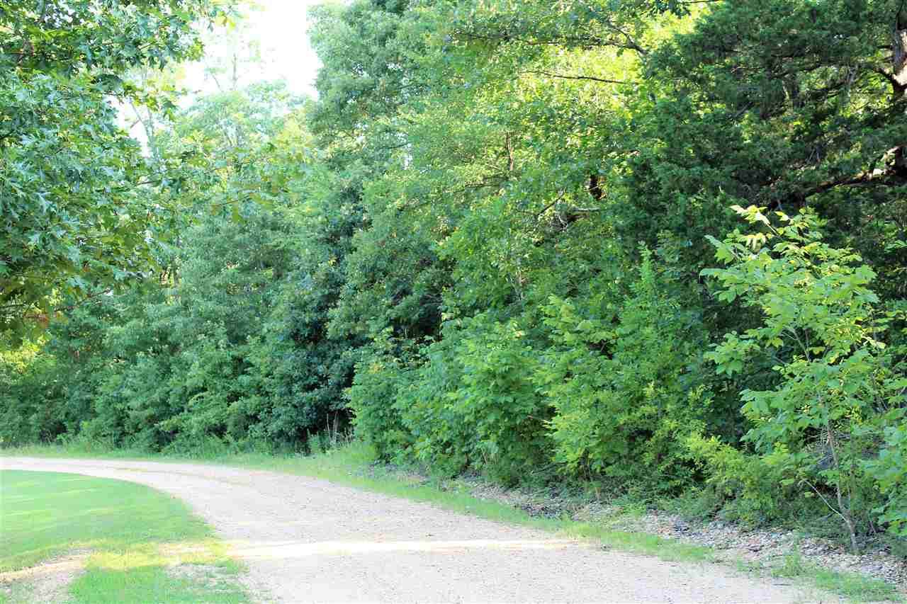 8 Acres Greene Road 560 - Photo 1