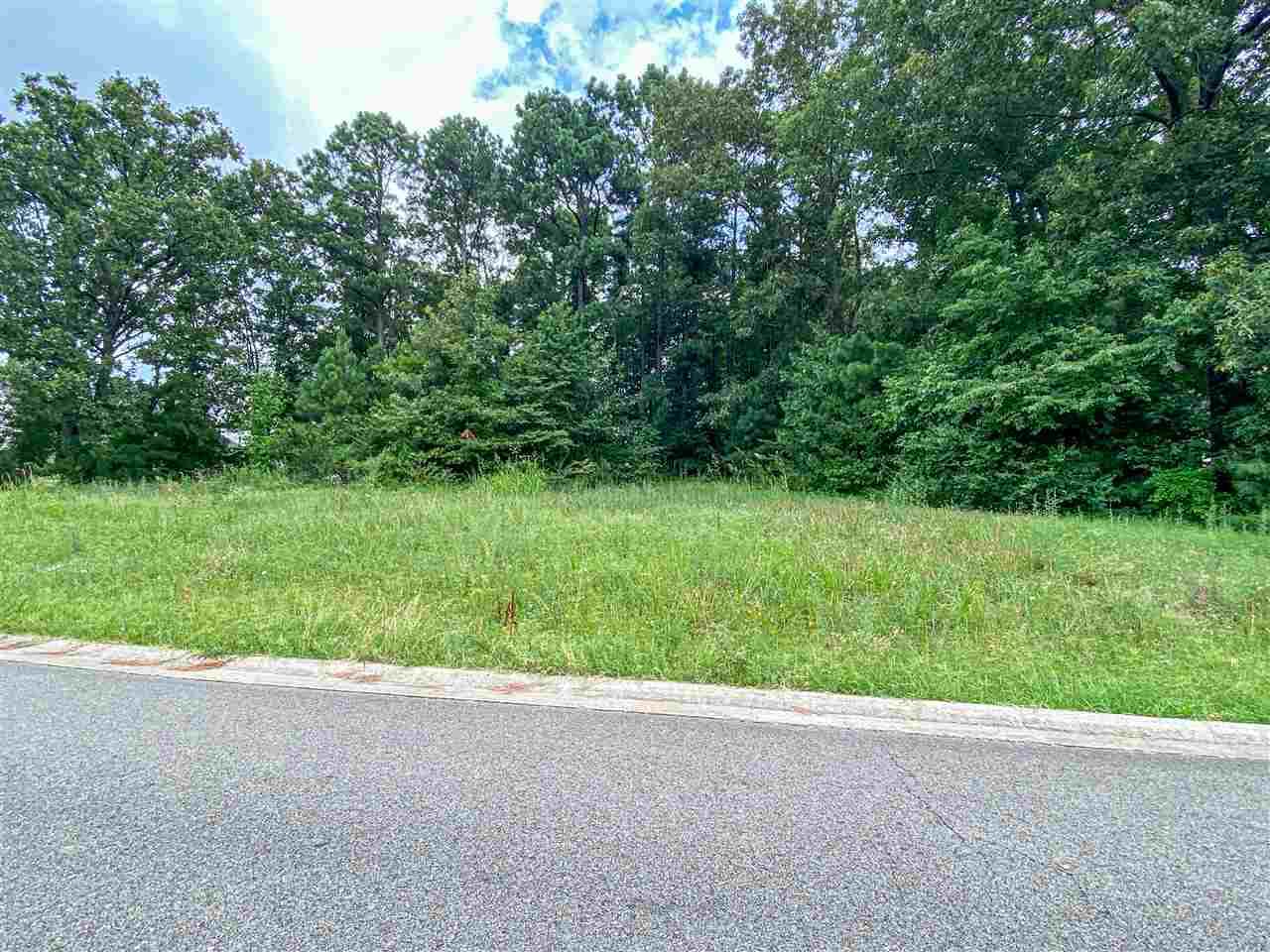 Lot 1 Block E Jamestown Manor Phase - Photo 1