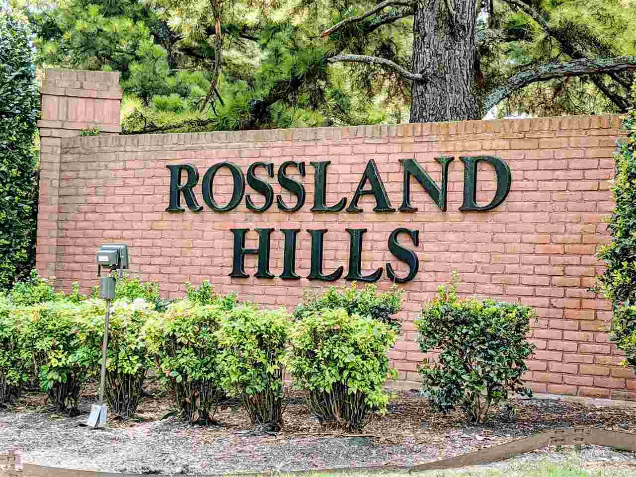Lot 3 Rossland Hills Block D - Photo 1