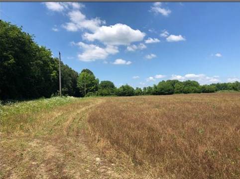 87 Acres Law 216 - Photo 1