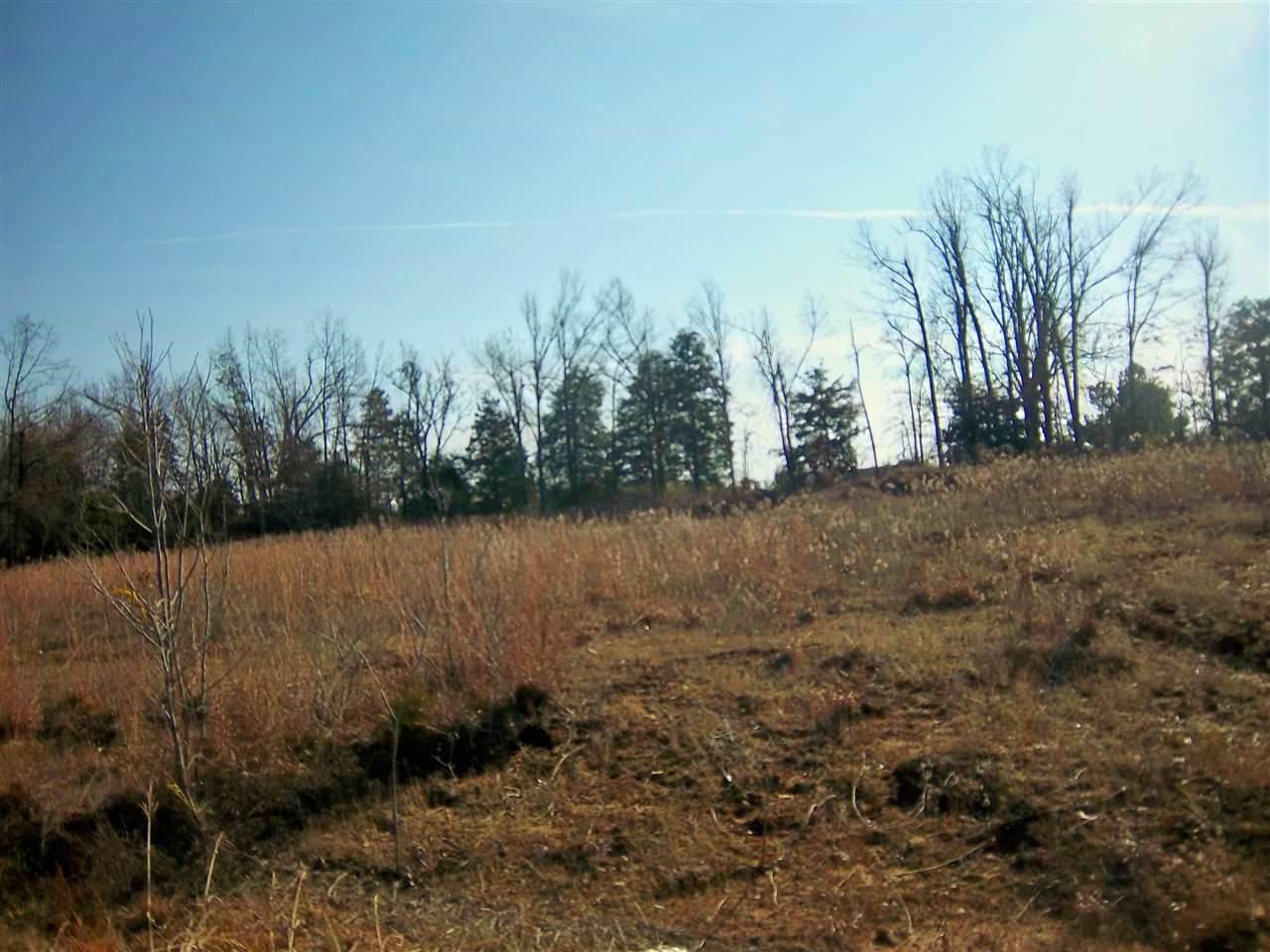 Hotze Road - Photo 1