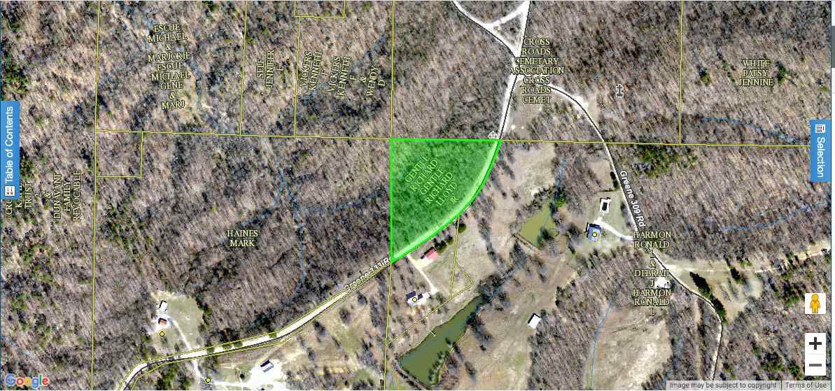 4.6 acres Greene 333 Rd - Photo 1