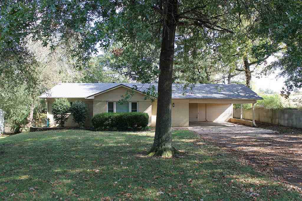 1001 Mckenzie - Photo 1