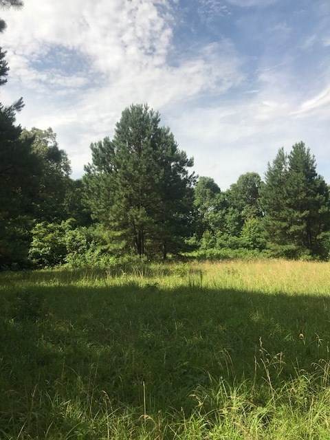 17.392 Acres Cr 318 - Photo 1