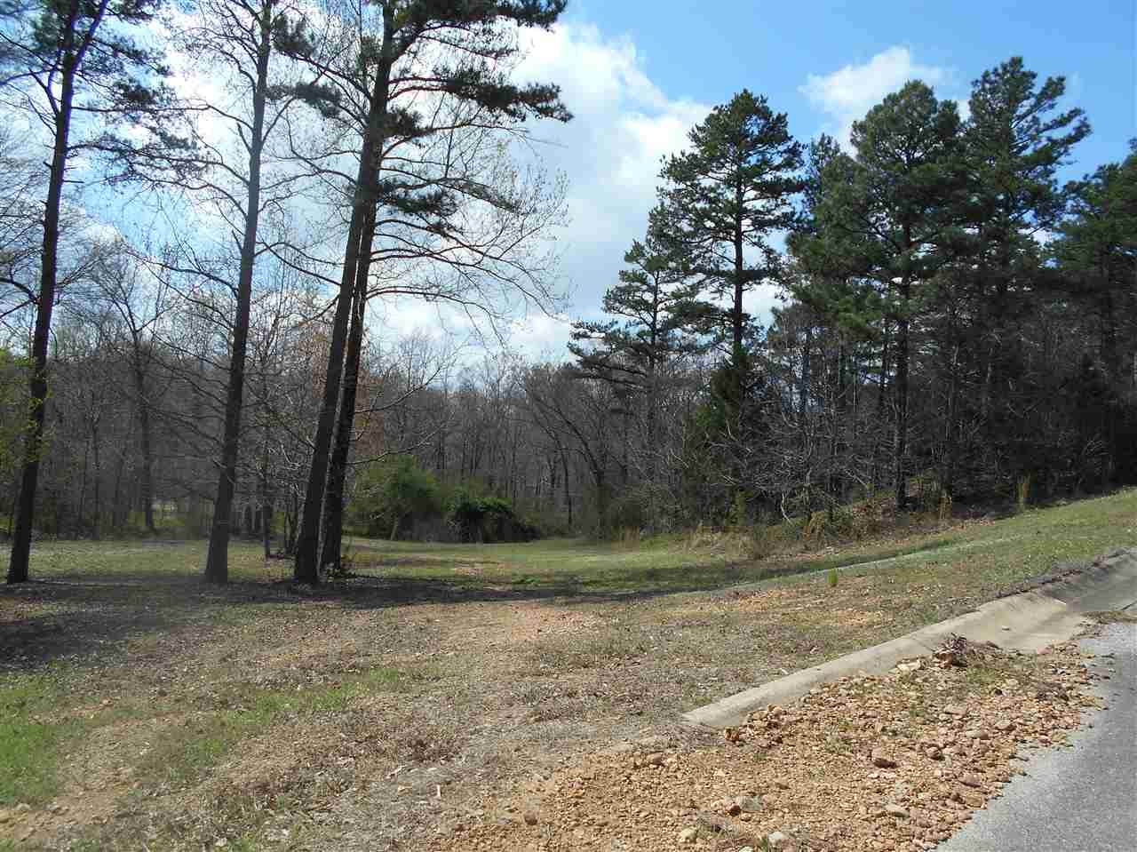 LOT 3 Oak Creek Ln - Photo 1
