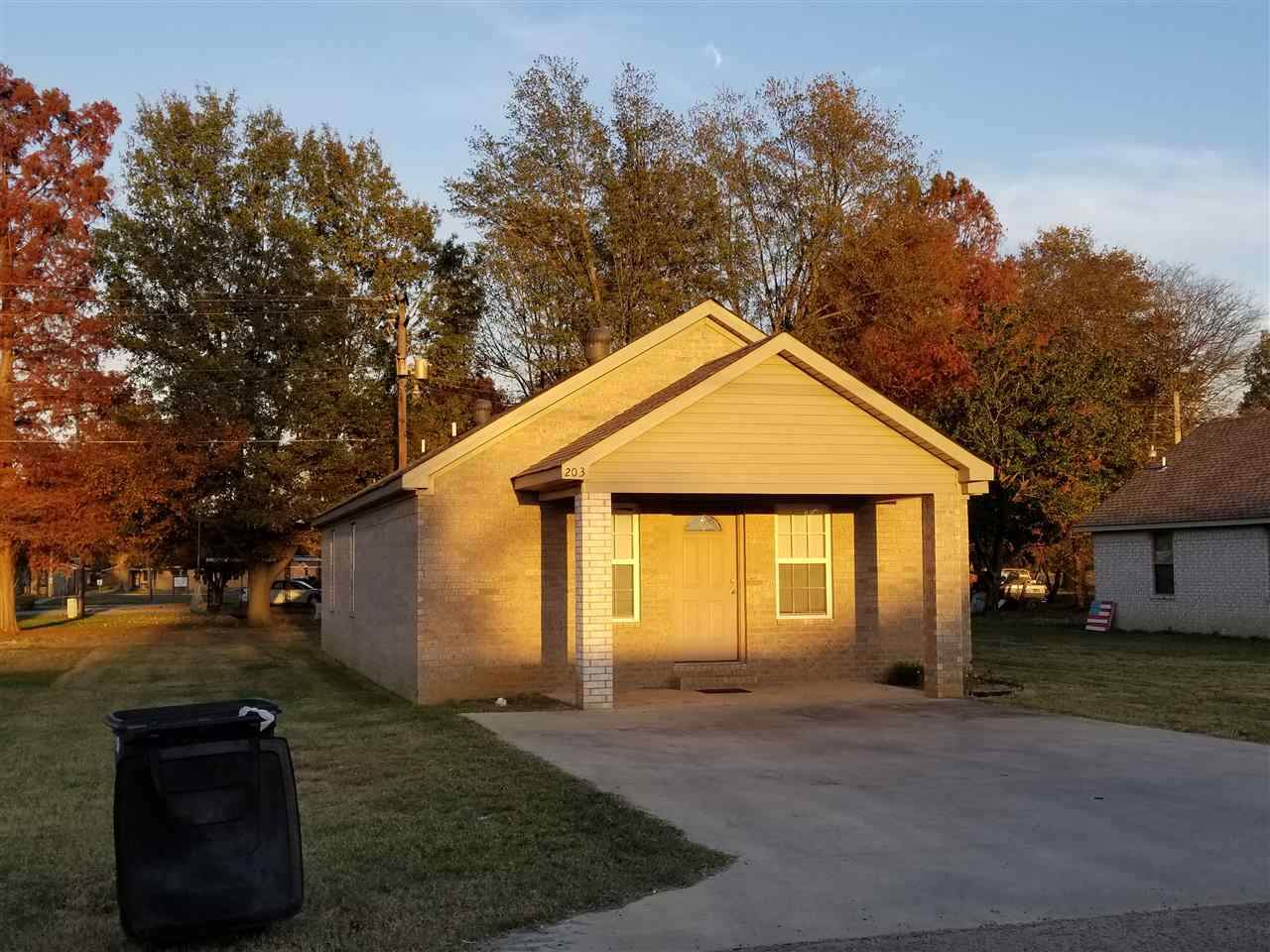 203 Ozark - Photo 1