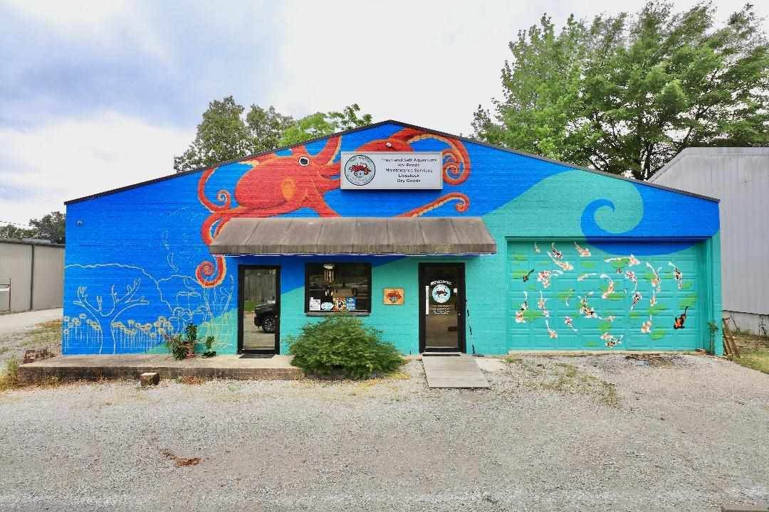 4315 B E Johnson Ave - Photo 1