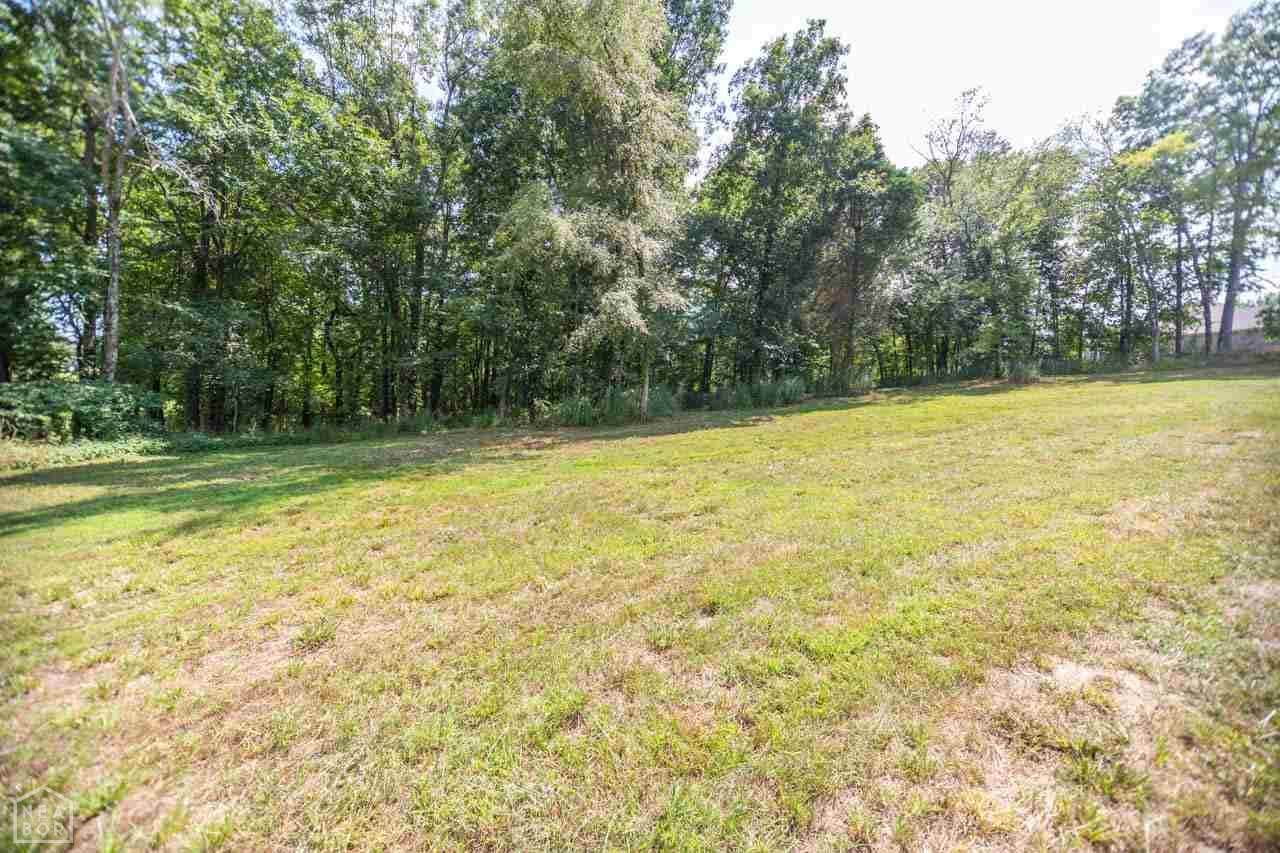0-Lot 2 Chocho Valley - Photo 1
