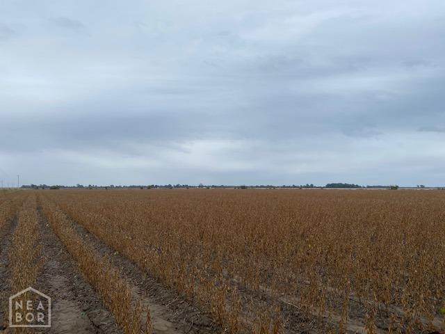99 Acres Cr 672 - Photo 1