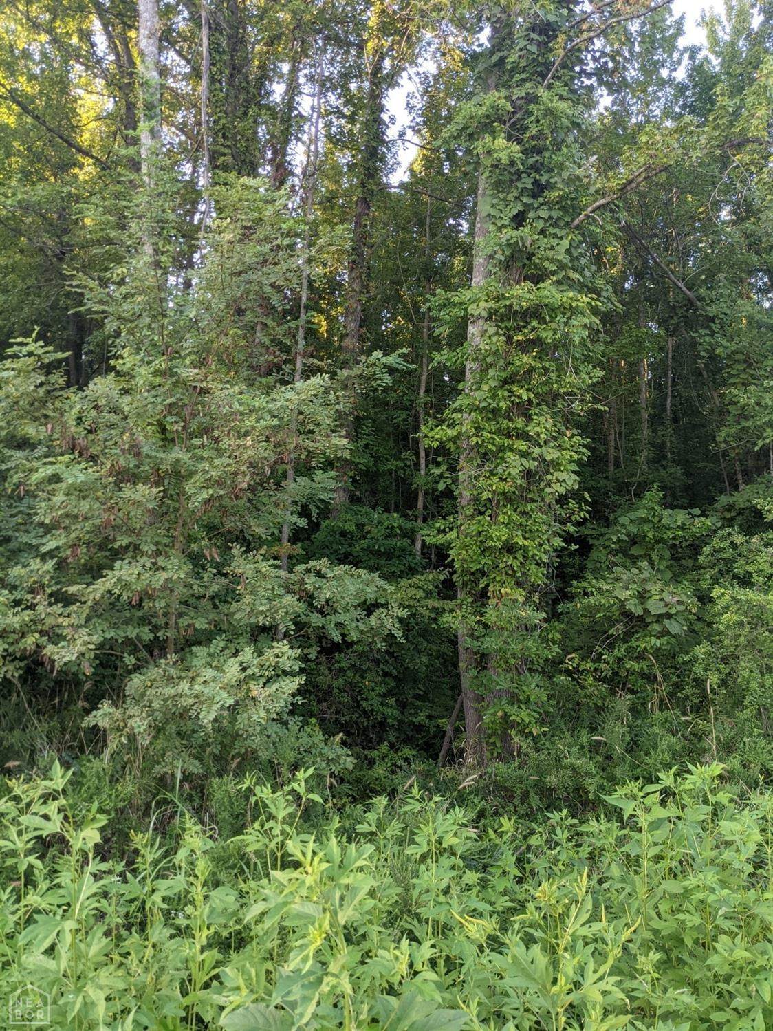 0-00 Cr 372 Road - Photo 1