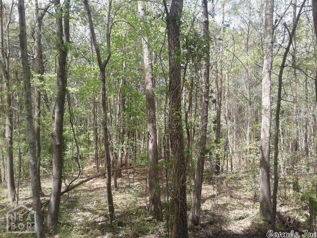 1 Lot 25 Iroquois Drive - Photo 1