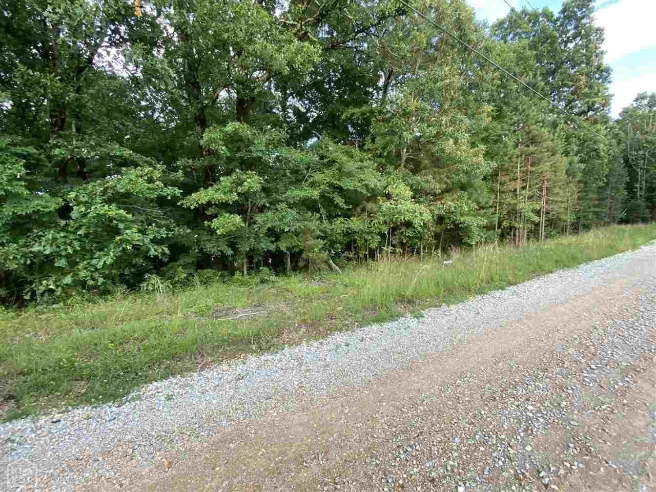 0-acreage Greene 720 - Photo 1