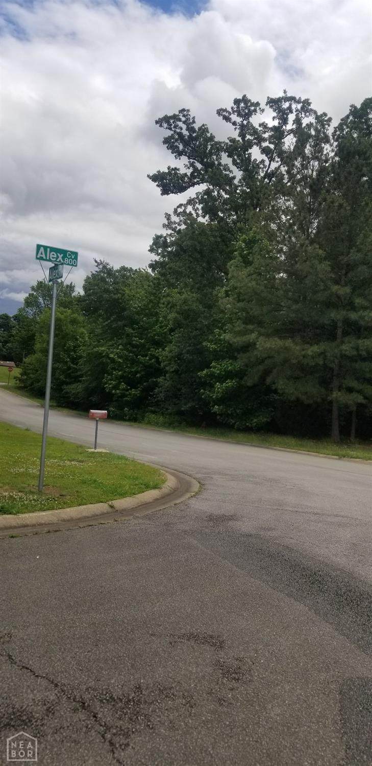 0-Lot 2 Alex Drive - Photo 1