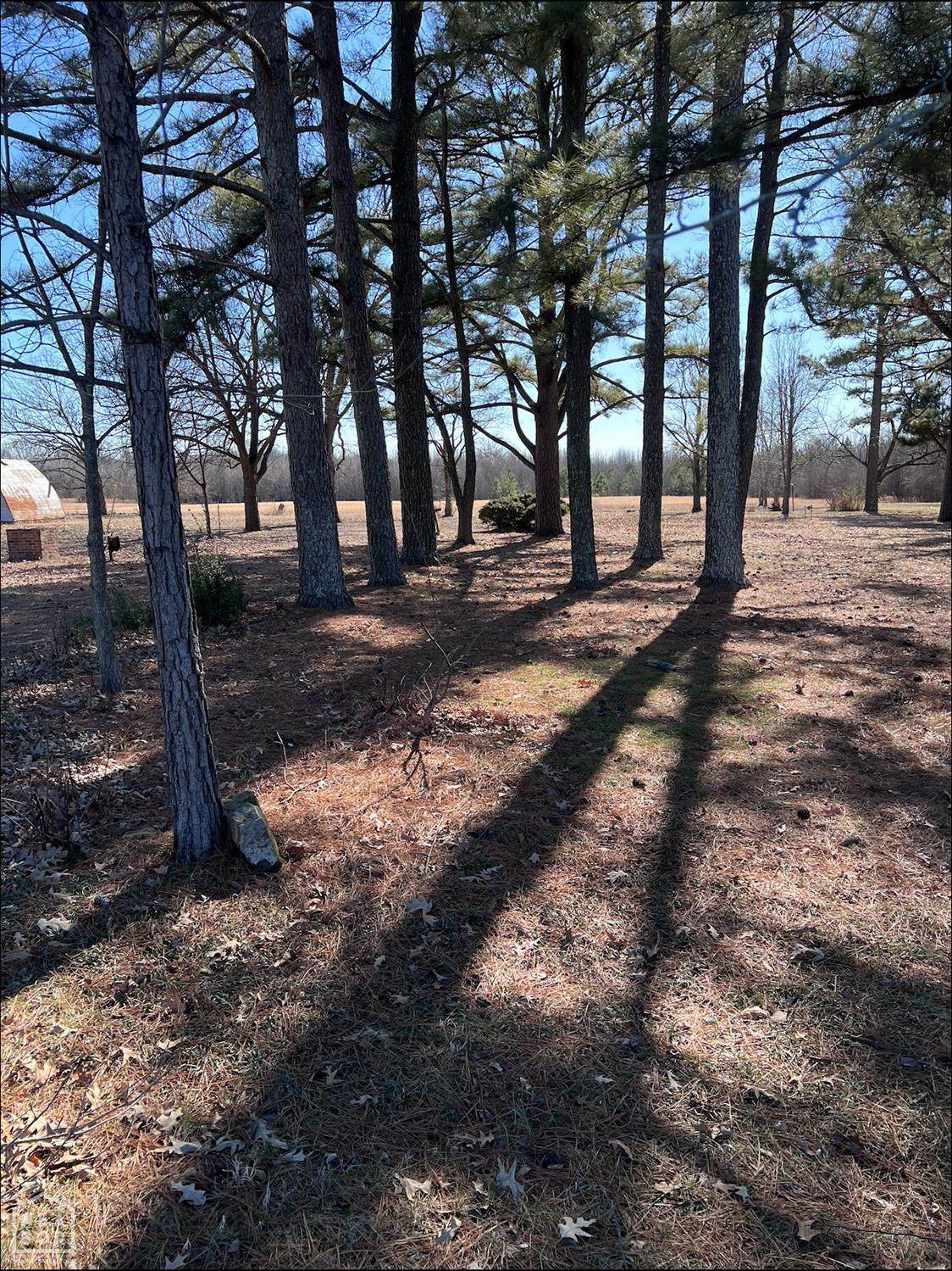 303 Daybreak Drive - Photo 1