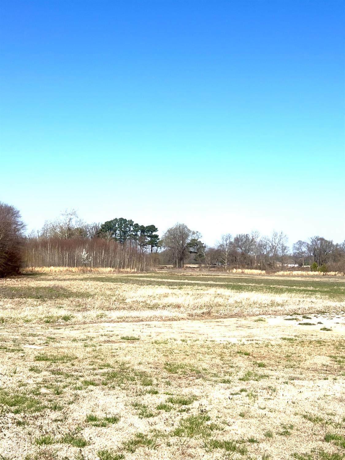 20-Acres Peachtree - Photo 1