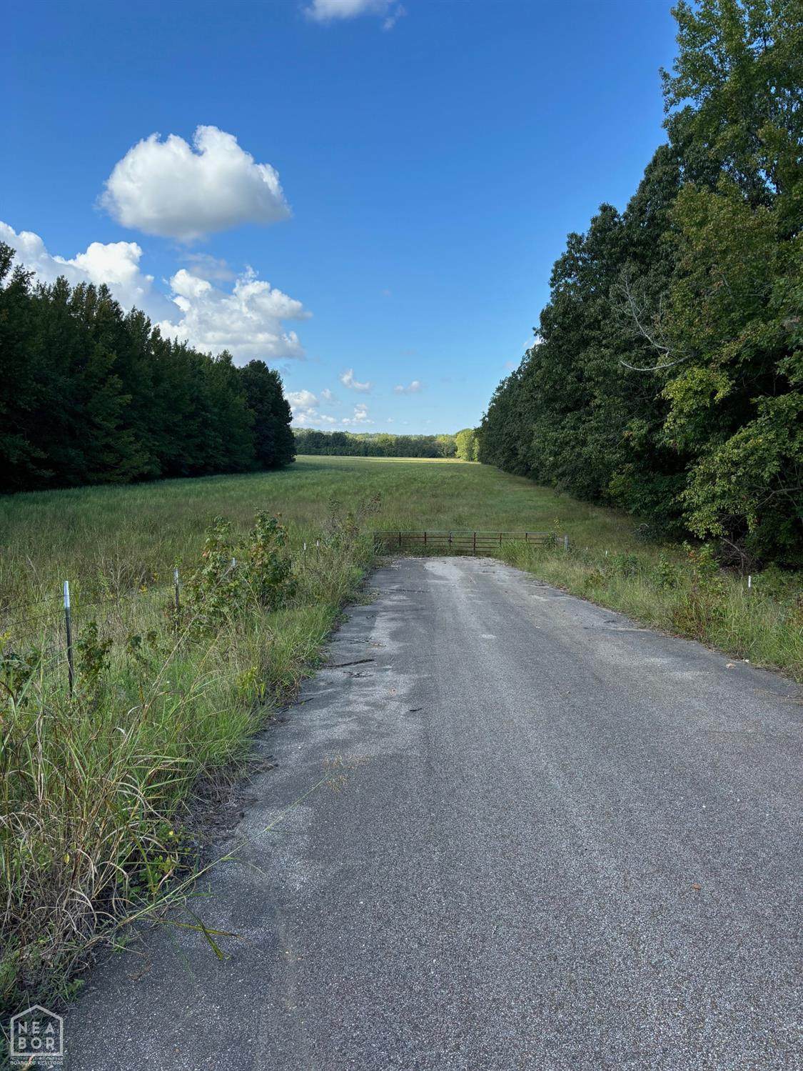 45-acres Hwy 141 - Photo 1