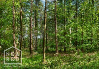 2 County Road 714 - Photo 1