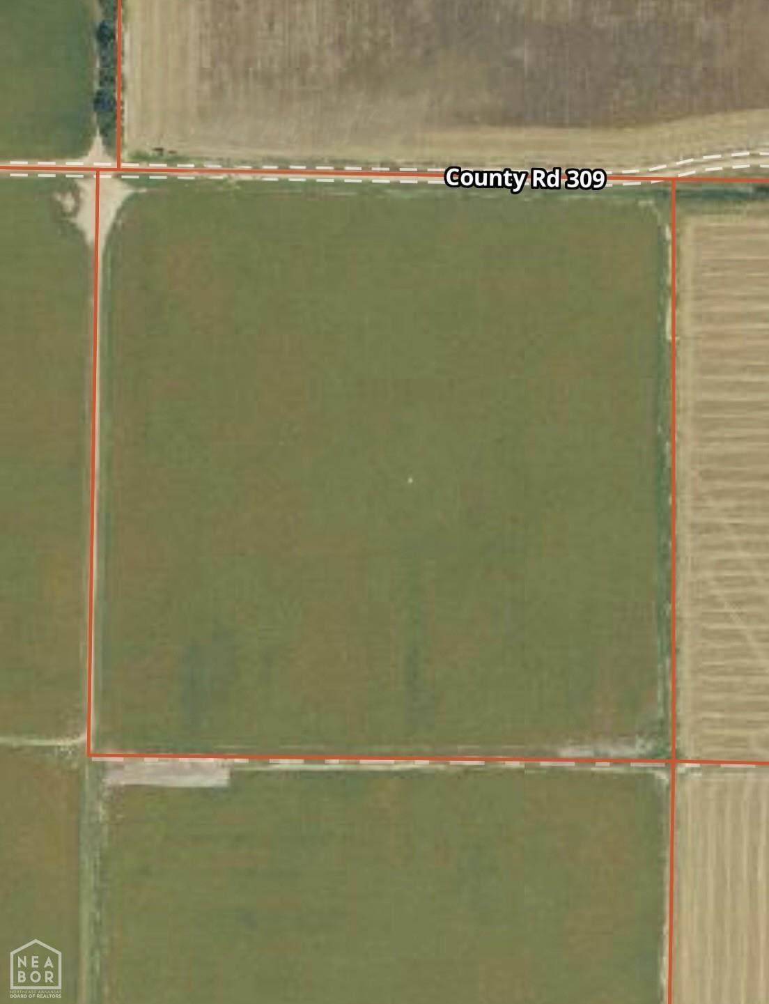1 County Road 309 - Photo 1