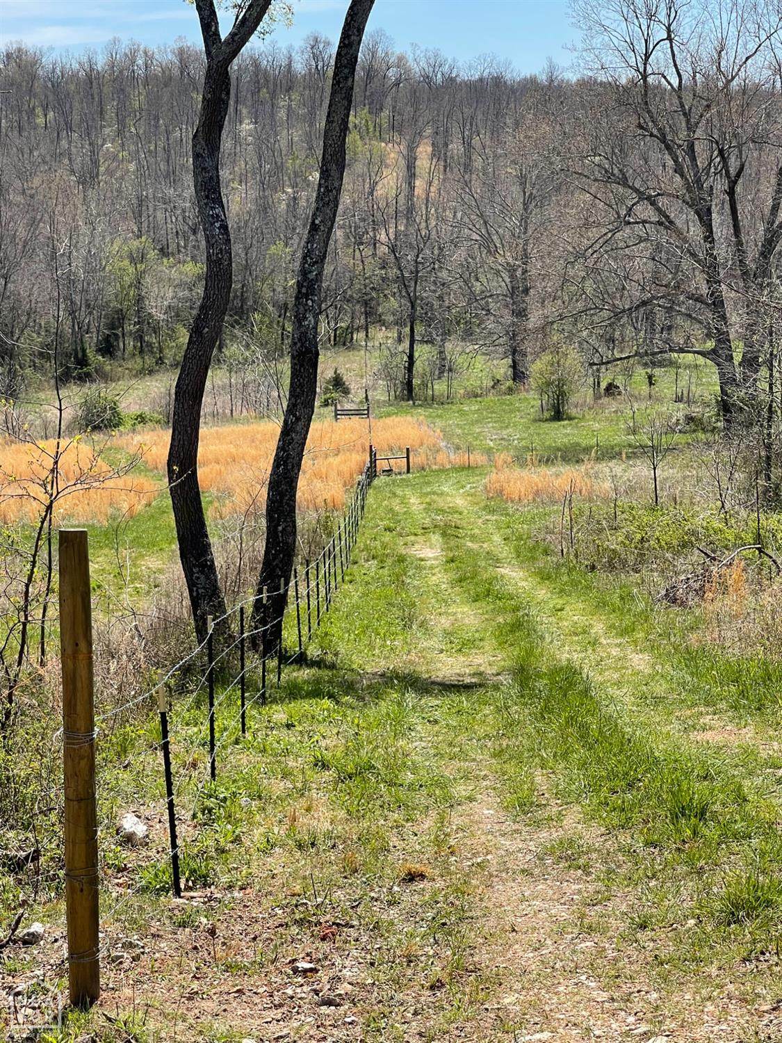 0-000 Rainbow Valley Trail - Photo 1
