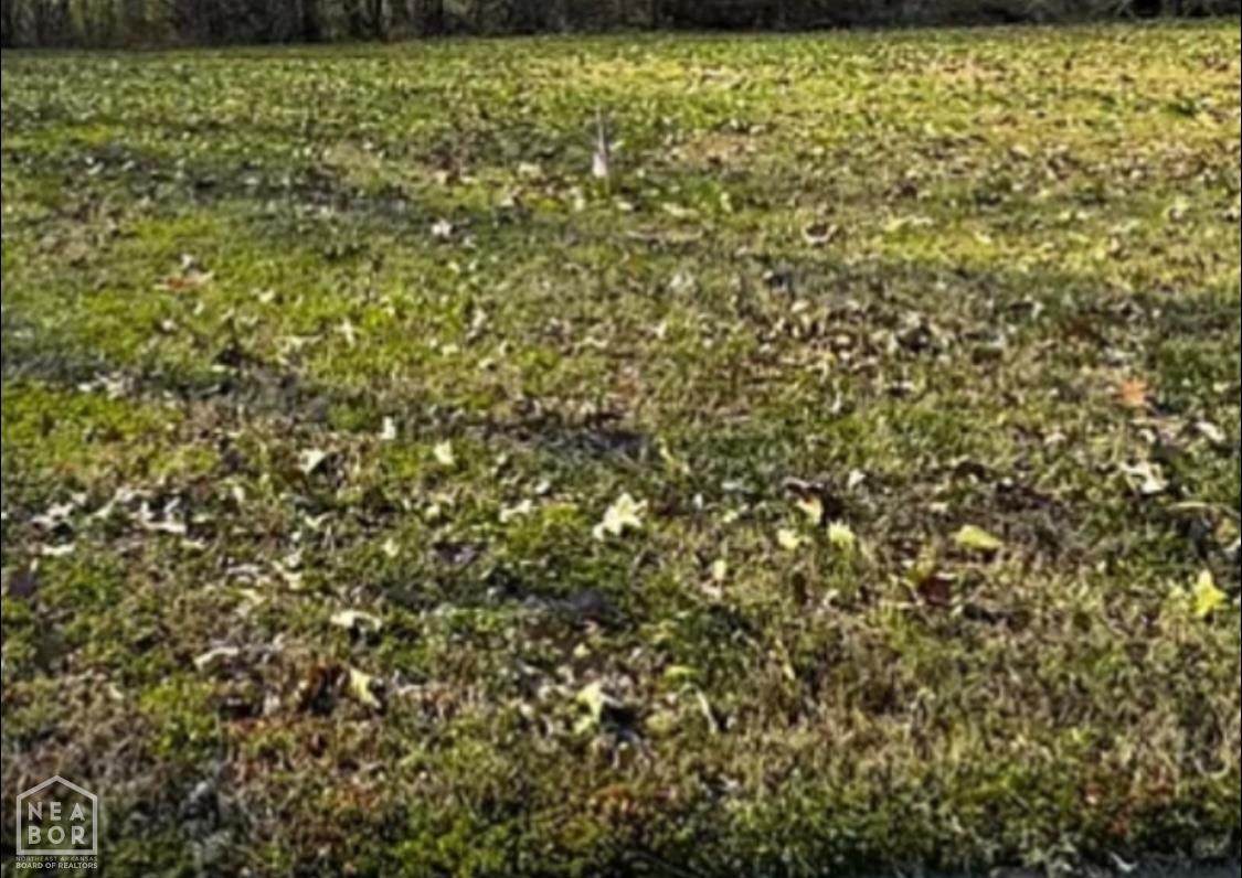 1517 Granger Drive - Photo 1