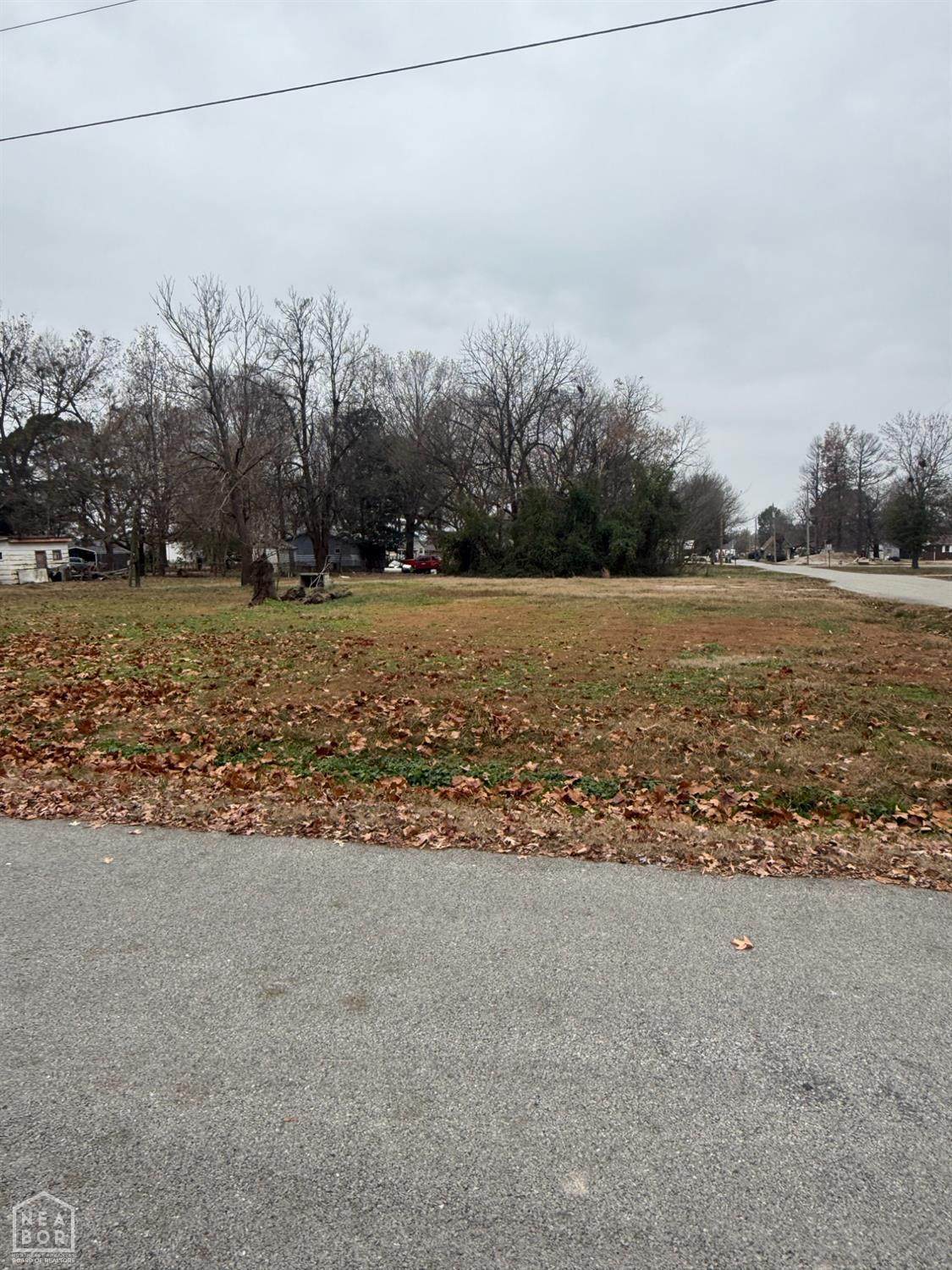 608 Locust Street - Photo 1
