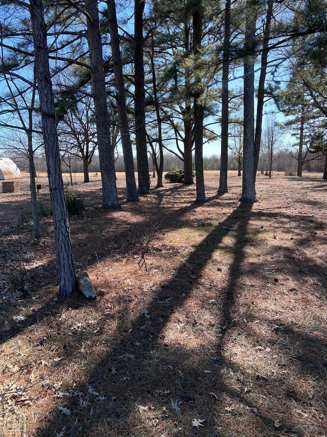 https://bt-photos.global.ssl.fastly.net/jonesboro/orig_boomver_1_10127318-2.jpg