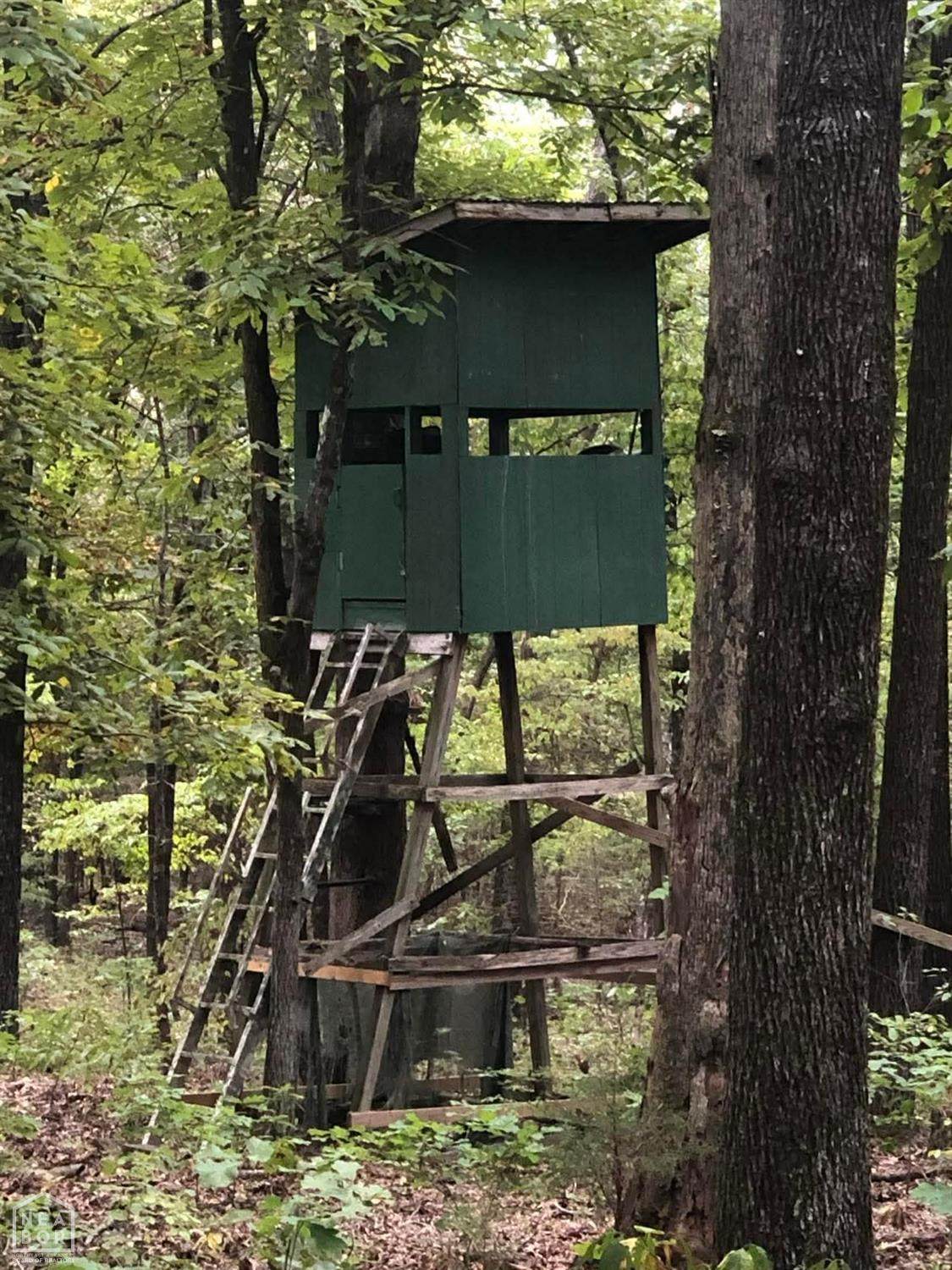 51-52 Buck Ridge Lane - Photo 1