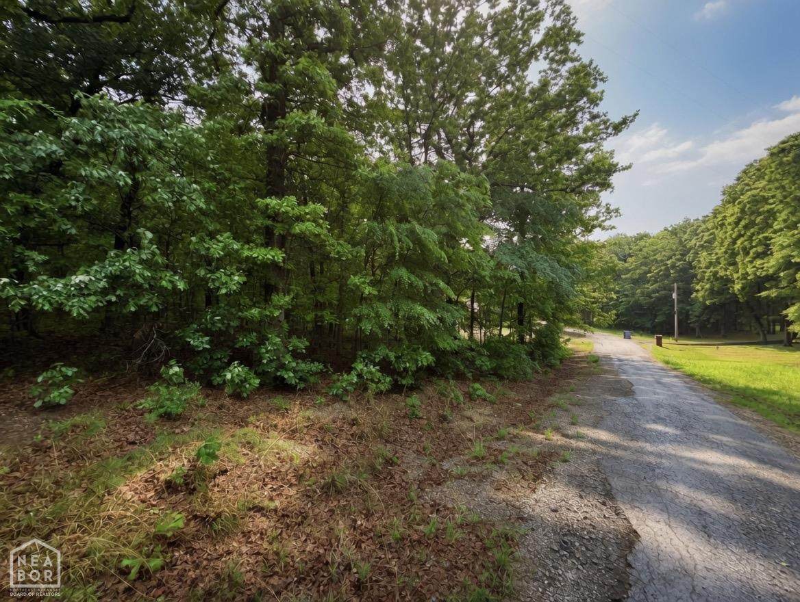 215 Greene 749 Road - Photo 1