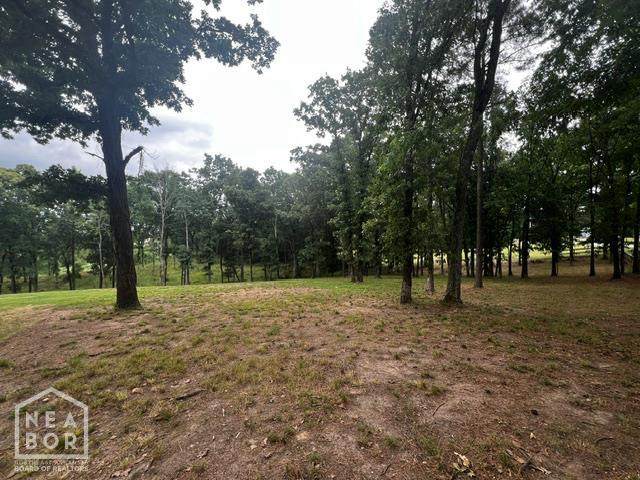 2910 Casey Springs - Photo 1