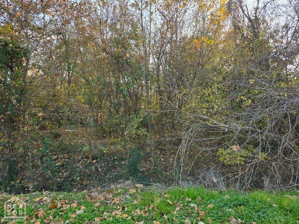 103 Languille Avenue - Photo 1