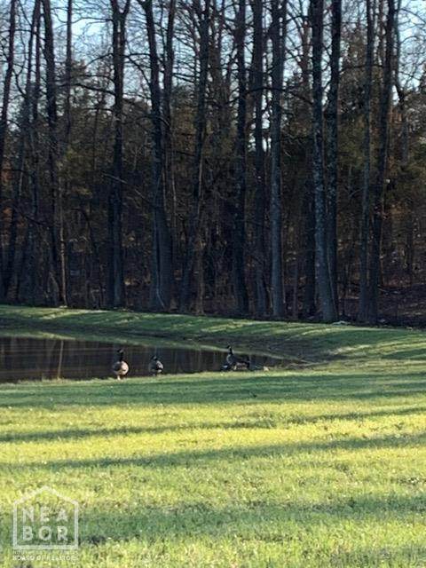 https://bt-photos.global.ssl.fastly.net/jonesboro/orig_boomver_2_10130287-2.jpg