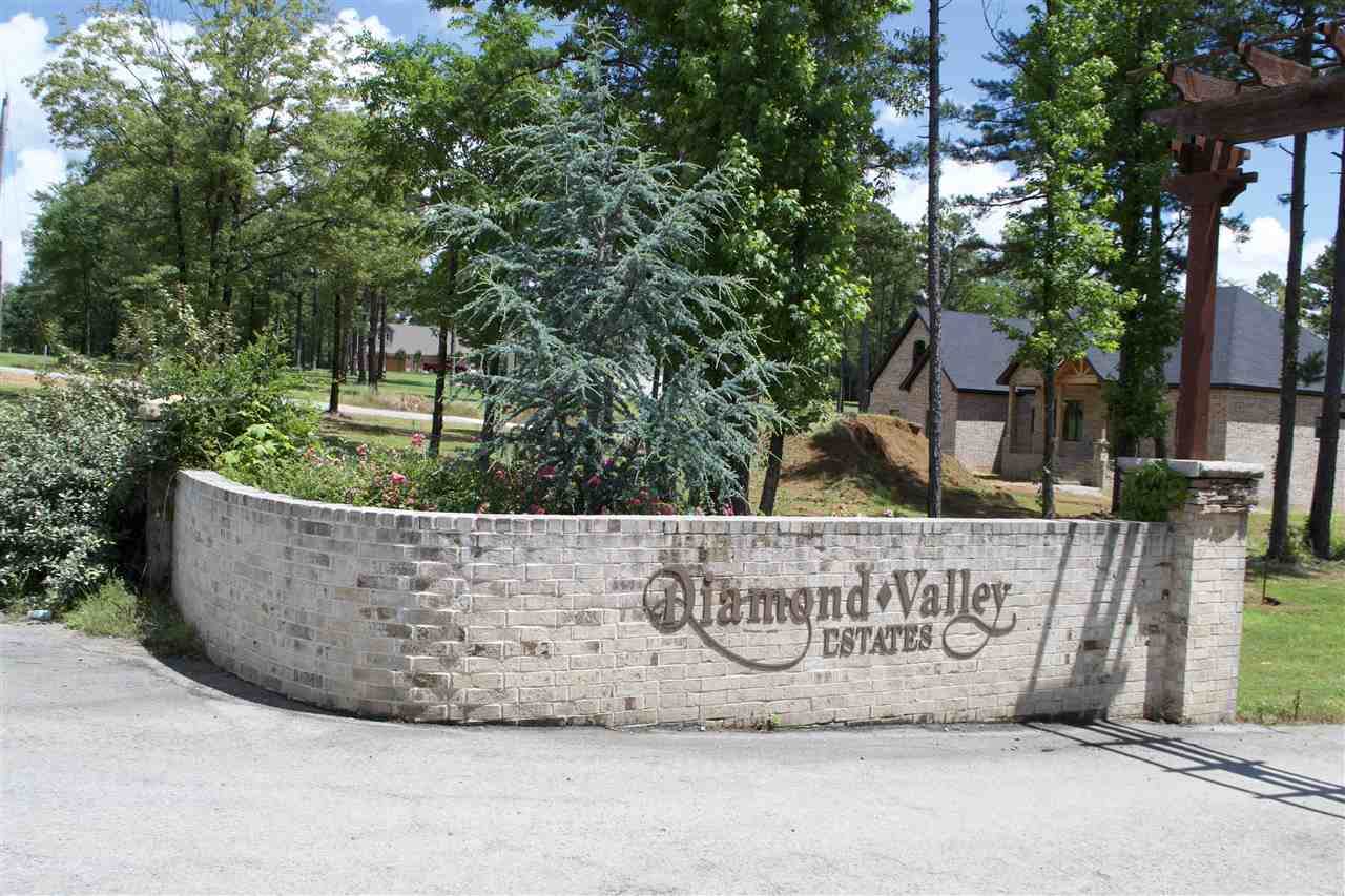 Lot 12 Diamond Valley Estates - Photo 1