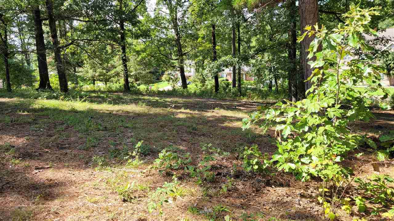 Lot 12 and 13 North 74th Street - Photo 1