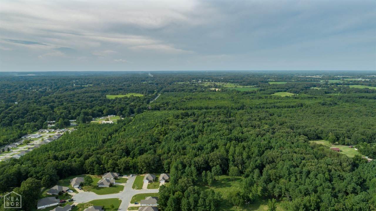 0-74.5 Acr Greensboro Road - Photo 1