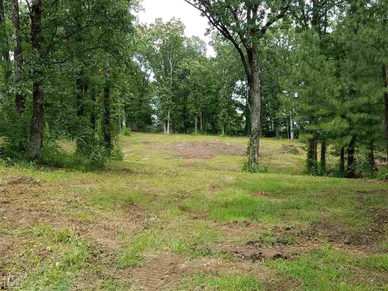 1207 Stone Creek - Photo 1
