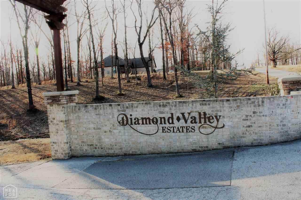 0-Lot 13A Diamond Valley Estates - Photo 1