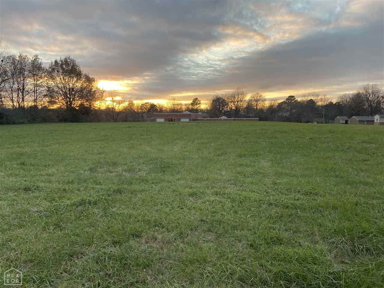 305 Calion - Photo 1