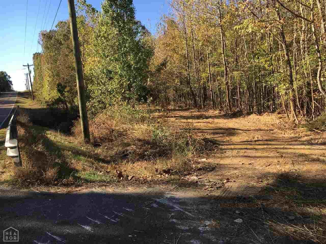 0-Tract 3 Casey Springs Road - Photo 1