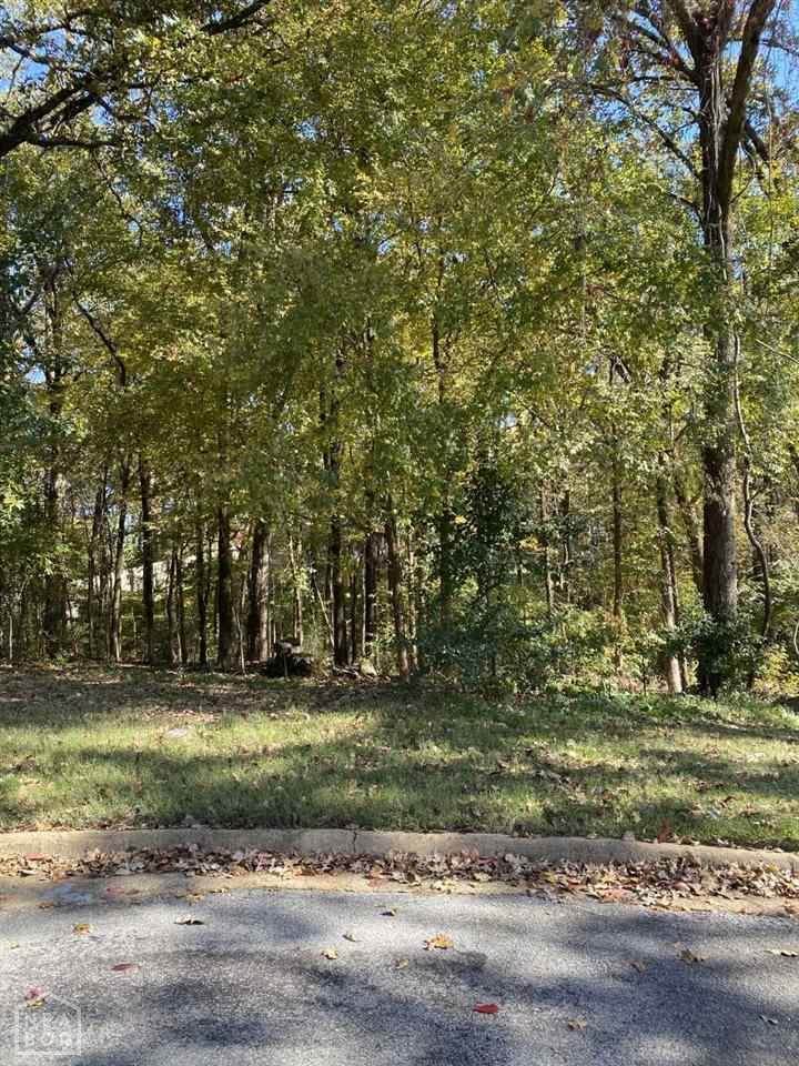 0-Lot Catherine Drive - Photo 1