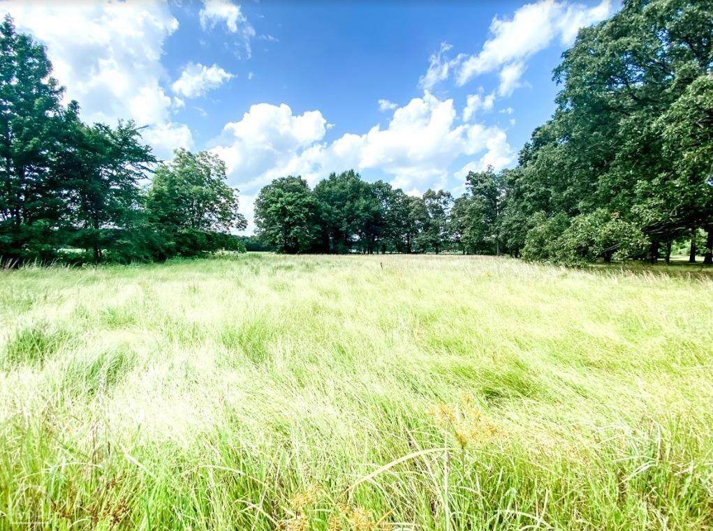 0-2 acres Cr 768 - Photo 1