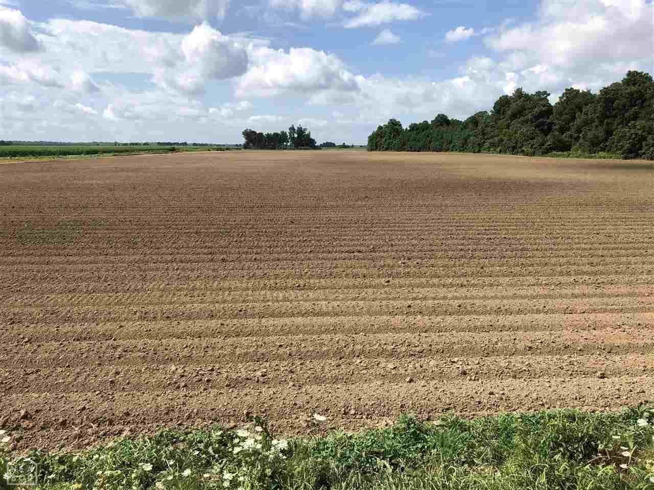 0-120 Acre Cr 530 - Photo 1