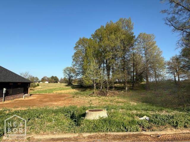 21-Lot 21B 8 1/2 Street - Photo 1