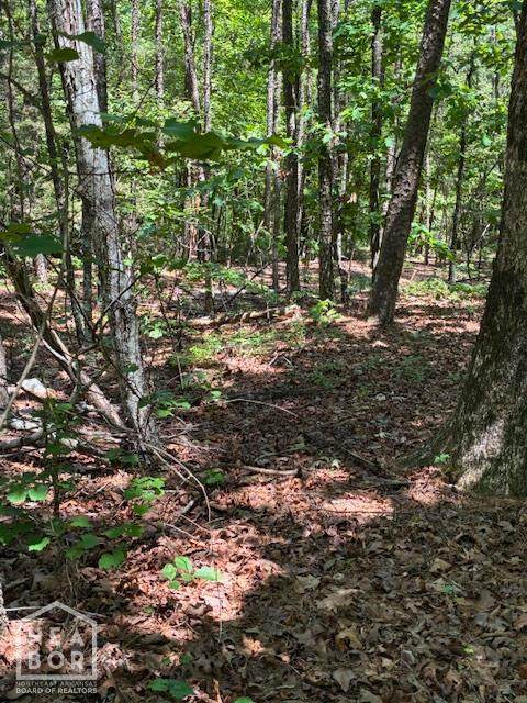 12 Castano (Lot 12) Lane - Photo 1
