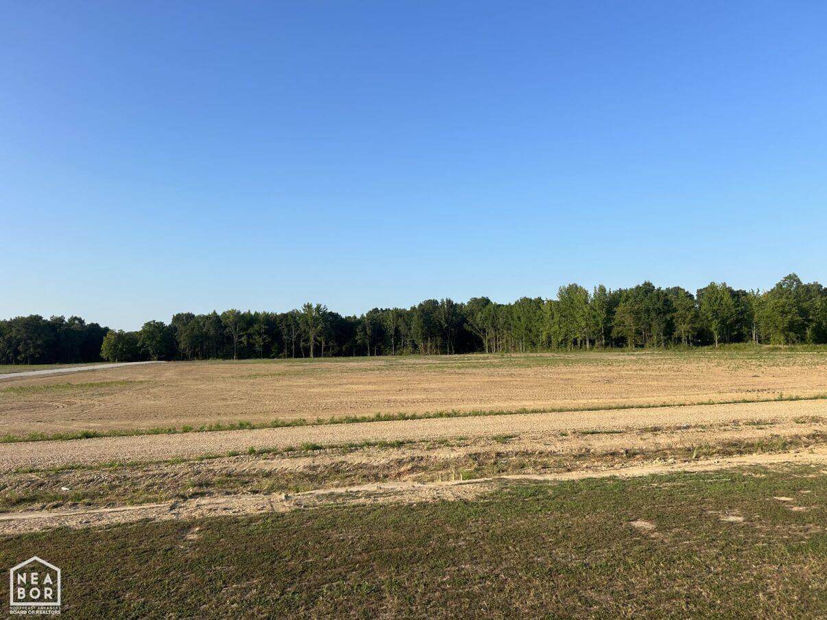 1714 Hwy 163 - Photo 1