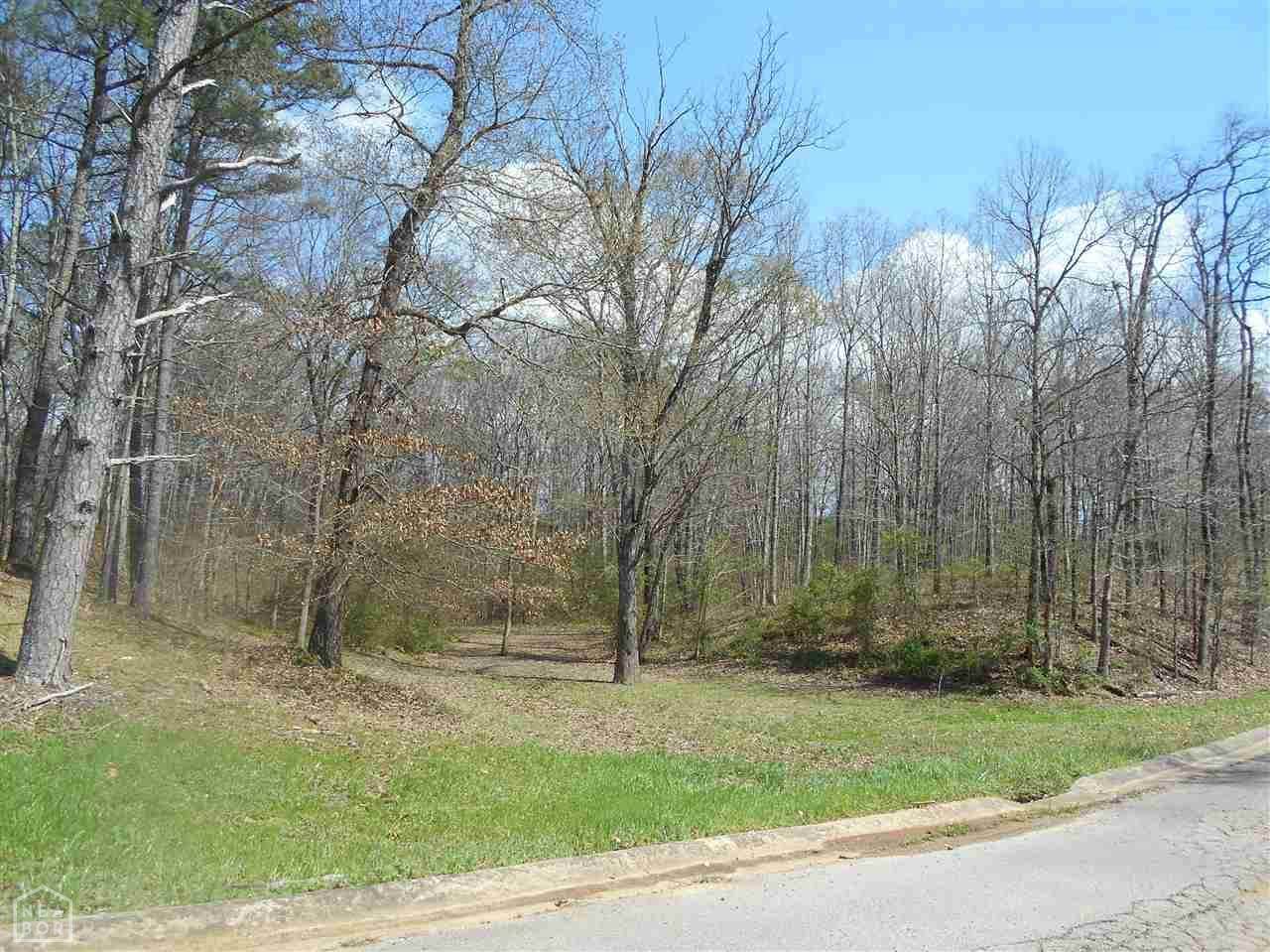 0-LOT 1 Oak Creek - Photo 1
