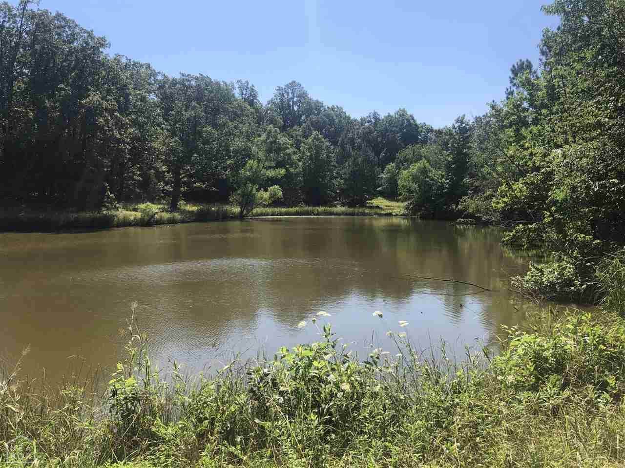 0-6.5 Acre 4th - Photo 1
