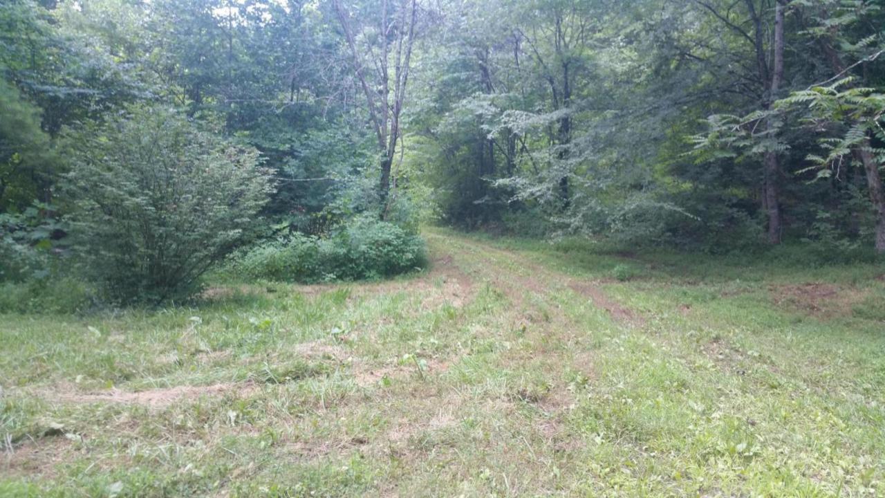Big Springs Rd Rd - Photo 1