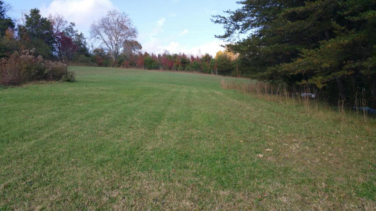 4329 Mckamey Rd - Photo 1